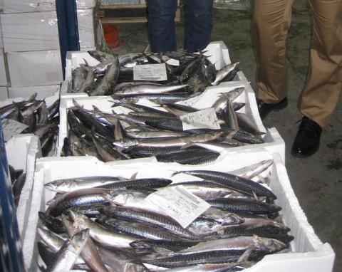 La flota de la provincia desembarcó en el primer semestre 3 millones de kilos de pescado, un 41% más que en 2013