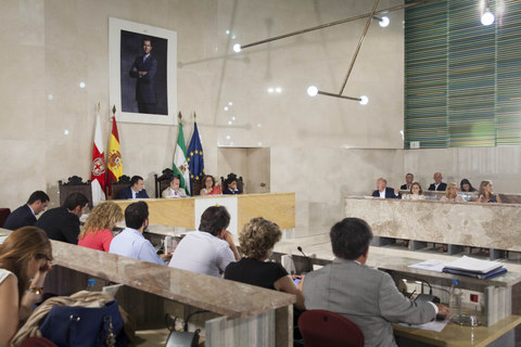 Noticia de Almera 24h: El Ayuntamiento reclama de forma unnime la construccin del Materno Infantil, la Casa del Mar y el Conservatorio de Danza