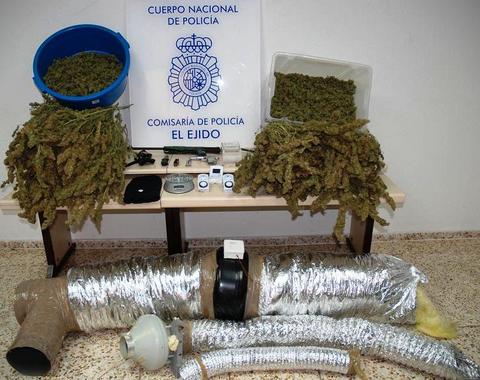 Noticia de Almería 24h: Incautadas 152 plantas de marihuana en una vivienda dúplex que era utilizada como laboratorio