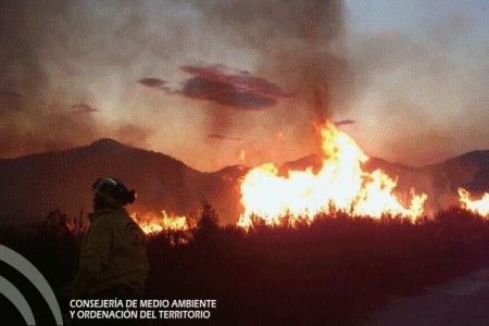 Noticia de Almería 24h: La Unidad de Policía adscrita a la Junta ha esclarecido todos los incendios forestales que ha investigado este año en Almería