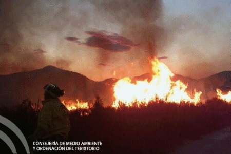 Noticia de Almera 24h: La Unidad de Polica adscrita a la Junta ha esclarecido todos los incendios forestales que ha investigado este ao en Almera