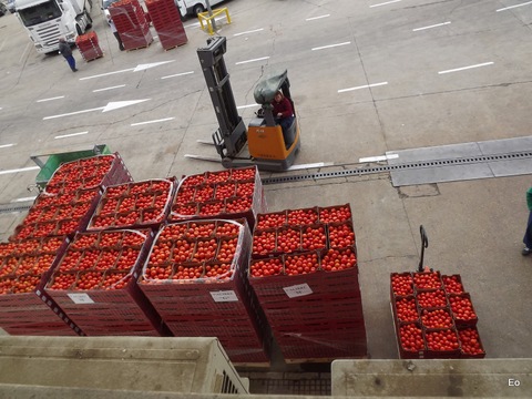24 empresas de Almera donan 3,8 millones de kilos de frutas y hortalizas a Banco de Alimentos hasta junio pasado
