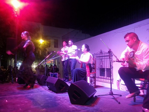 Noticia de Almera 24h: ngela Cuenca y su grupo llevan su arte a Aguamarga en el Festival Noches de Luna y Flamenco