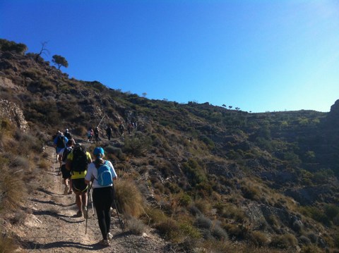 Noticia de Almería 24h: Diputación lleva a 30 senderistas a recorrer una atractiva ruta por la Sierra de Gádor