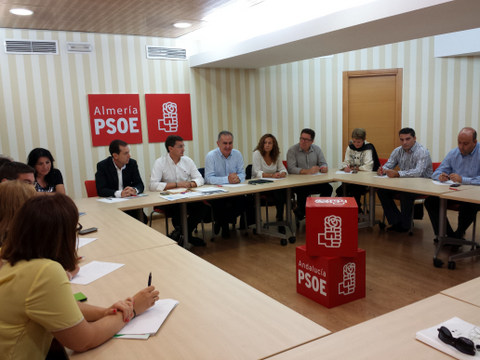 Noticia de Almería 24h: El PSOE exige al Gobierno del PP que pida fondos a Europa para poner en marcha el AVE entre Almería y Murcia