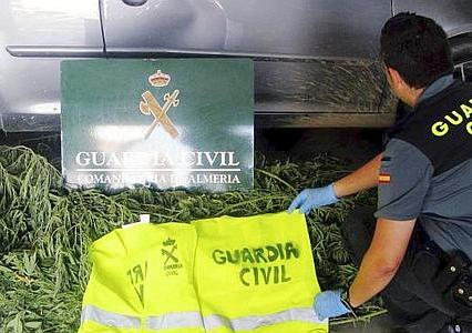 Noticia de Almería 24h: La Guardia Civil detiene a dos individuos de Roquetas e incauta 27 plantas de marihuana que cultivaban en Los Colmenares
