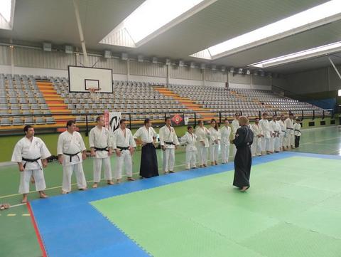 Noticia de Almera 24h: Seminario de Aiki Jujitsu e Iaido en Hurcal de Almera