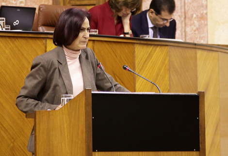 Noticia de Almería 24h: Izquierda Unida califica las cuentas para 2015 del Estado como “unos presupuestos trampa para Almería” 