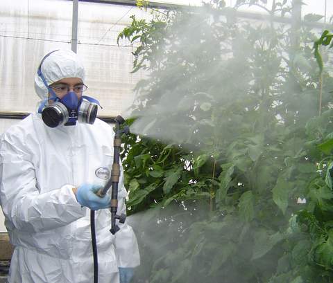 La Junta imparte un curso cualificado de fumigador de productos fitosanitarios en el centro de La Caada