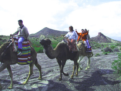 Descubre el destino 'Costa de Almería' desde otra perspectiva: sobre un camello