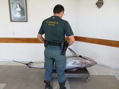La Guardia Civil interviene un atún rojo pescado en Cabo de Gata en época de veda