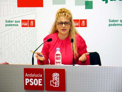 Noticia de Almería 24h: El PSOE afirma “que el único problema de financiación de la Universidad está en la cabeza y en la mala intención del PP”
