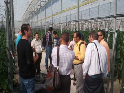 Noticia de Almera 24h: Especialistas egipcios conocen en el Ifapa de La Mojonera las innovaciones en produccin sostenible de hortalizas