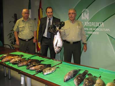 Agentes de Medio Ambiente de la Junta requisan en Los Escullos 20 kilos de pescado a un furtivo