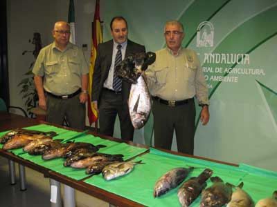 Noticia de Almera 24h: Agentes de Medio Ambiente de la Junta requisan en Los Escullos 20 kilos de pescado a un furtivo