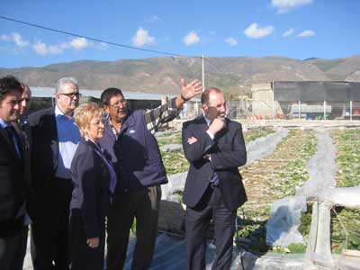Aumenta el nivel de aseguramiento de cultivos protegidos en Almera en el plan de seguros 2014