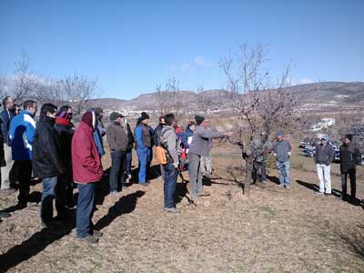 La Junta celebra en Albox unas jornadas sobre el cultivo y la poda del almendro en invierno