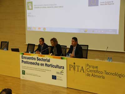 IDEA organiza el encuentro sectorial postcosecha en horticultura para incentivar la tecnologa e innovacin en el sector hortofrutcola