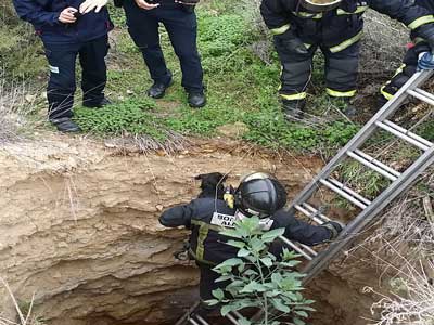 Polica Local y Bomberos rescatan a un perro que haba cado a un pozo de ocho metros en Piedras Redondas