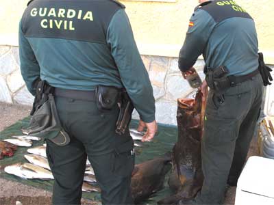 Detenidos dos furtivos en el Parque Natural Cabo de Gata-Njar con 31 piezas que acababan de capturar