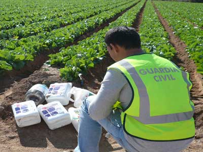 Noticia de Almera 24h: La Guardia Civil desarticula una banda dedicada al robo en explotaciones agrcolas y ganaderas