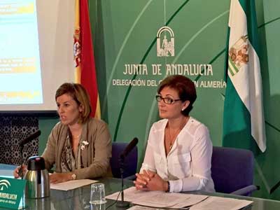 La Junta reclama al Gobierno que invierta 67 millones de euros en infraestructuras energéticas en Almería