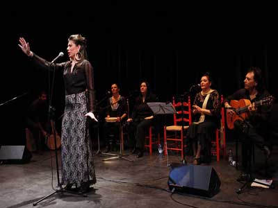 Noticia de Almera 24h: La Navidad Flamenca llen el Teatro Apolo con la versin senta de los villancicos 