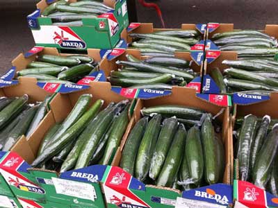 24 empresas de Almera donan 4,5 millones de kilos de frutas y hortalizas a Banco de Alimentos en 2014