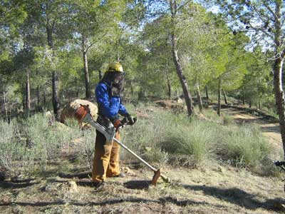 Un hombre, con una motodesbrozadora, trabaja en la limpieza de una franja de terreno de la Sierra Cabrera