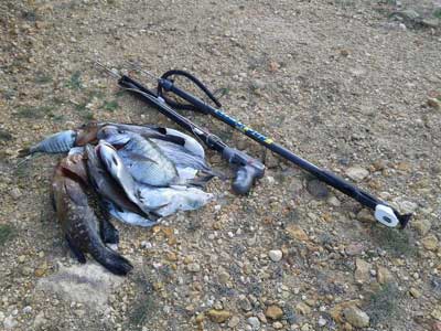 Noticia de Almera 24h: Golpe a la pesca furtiva en el Parque Natural Cabo de Gata, requisan 7 kilos de pescado y dos subfusiles acuticos