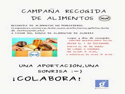 Cartel de la I Campaña de Recogida de Alimentos organizada por los centros Guadalinfo de Enix y Felix