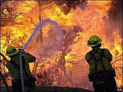 CSIF logra que el Ministerio de Empleo inicie los trmites para equiparar la jubilacin de los bomberos forestales