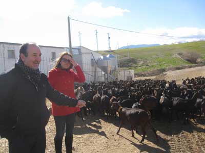La Junta apoya con 62.534 euros una explotacin de ganado caprino de una joven ganadera de Vlez-Blanco