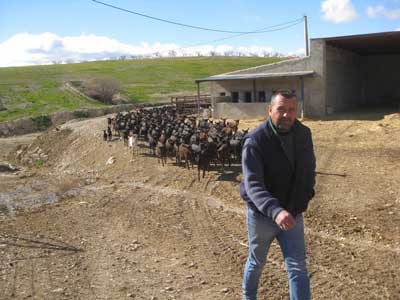 Noticia de Almería 24h: La Junta celebra un curso sobre bienestar animal en explotaciones ganaderas de rumiantes
