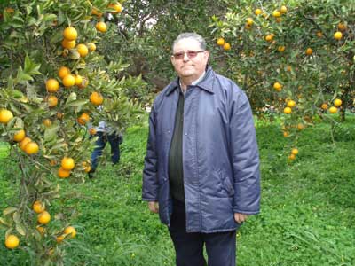 Francisco Ruiz Lpez, premio Naranja de Oro por su contribucin al desarrollo del sector de la naranja