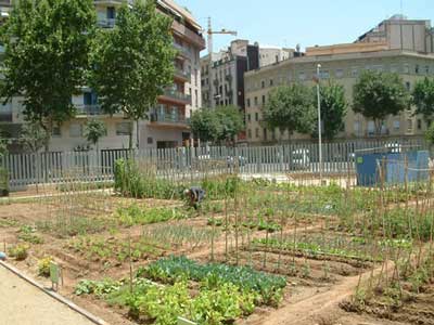 EQUO Almera apoya los proyectos de agricultura urbana en la provincia