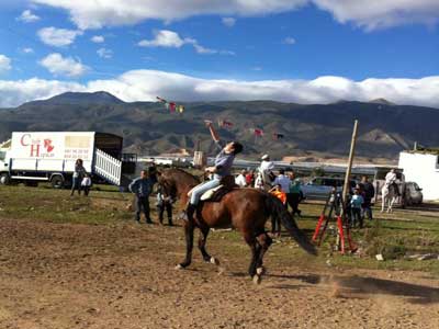 La Junta local y el Club Hpico Santa Mara del guila celebran el prximo domingo 1 de marzo el Da del Caballo