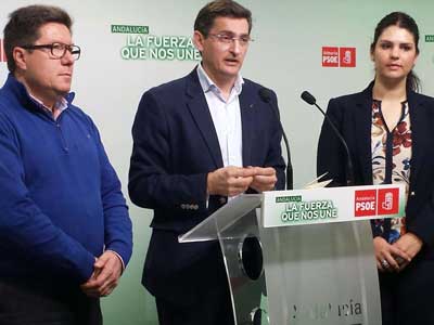 Snchez Teruel: Si el PP no quiere ayudar a solucionar el paro, lo haremos solos siguiendo la senda de Susana Daz