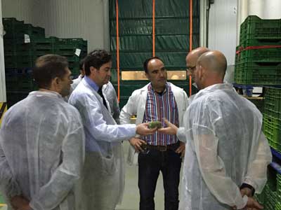 Visita a las instalaciones de la cooperativa Cohorsan, referente en pepino y calabacn y lder en produccin de variedades snack