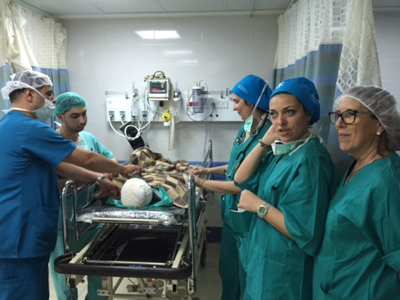 Un equipo de profesionales del Complejo Hospitalario Torrecrdenas participa en un proyecto humanitario en Cisjordania