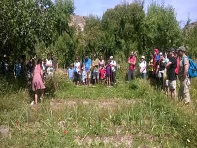 Noticia de Almera 24h: Los posidnicos se hacen ms ecolgicos en la aldea Molinos del Ro Aguas junto al colectivo  Sun-Seed 