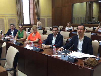 Los diputados autonmicos del PSOE de Almera formarn parte de 14 comisiones del Parlamento de Andaluca
