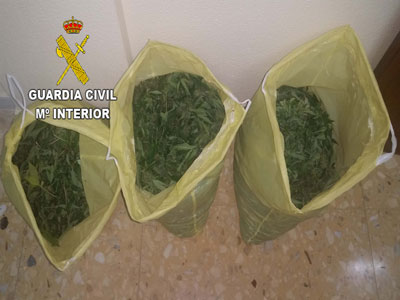Detenidos en Laujar 4 traficantes de marihuana