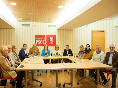 El PSOE obligar al Registro de la Propiedad a anotar las viviendas denunciadas para tranquilidad de los compradores