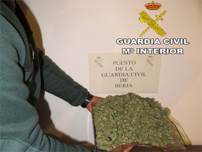 Un detenido con 200 gramos de cogollos de marihuana en Berja