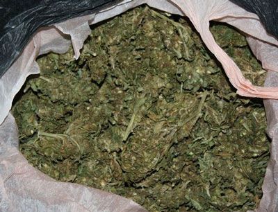 Detienen a un joven en Roquetas con ms de 140 gramos de marihuana