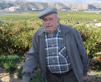 Francisco Trujillo Trujillo, premio Naranja de Oro al agricultor ejemplar