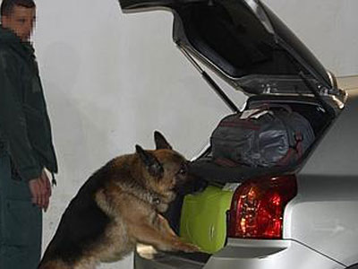 Un perro del Servicio Cinolgico del puerto de Almera detecta 189 kilos de Hachs ocultos en un vehculo