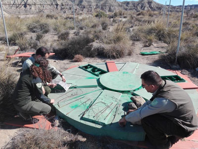 Agentes de Medio Ambiente encuentran mtodos de captura prohibidos en el Paraje Natural Desierto de Tabernas