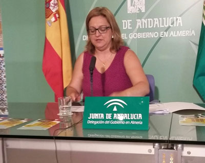 Andaluca aprueba el reglamento para el funcionamiento de las comisiones locales y provinciales de violencia de gnero 